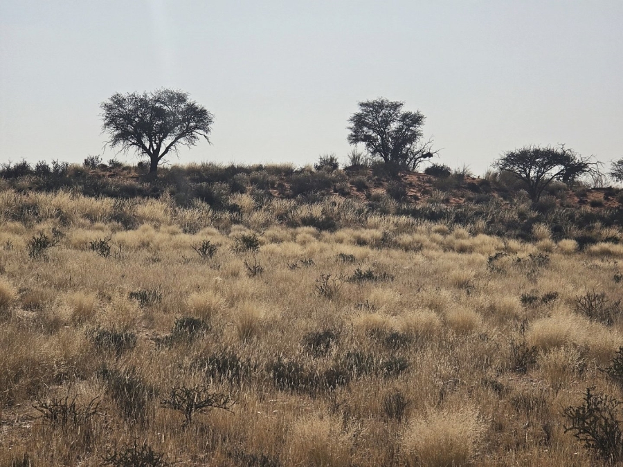 Commercial Property for Sale in Kenhardt Northern Cape